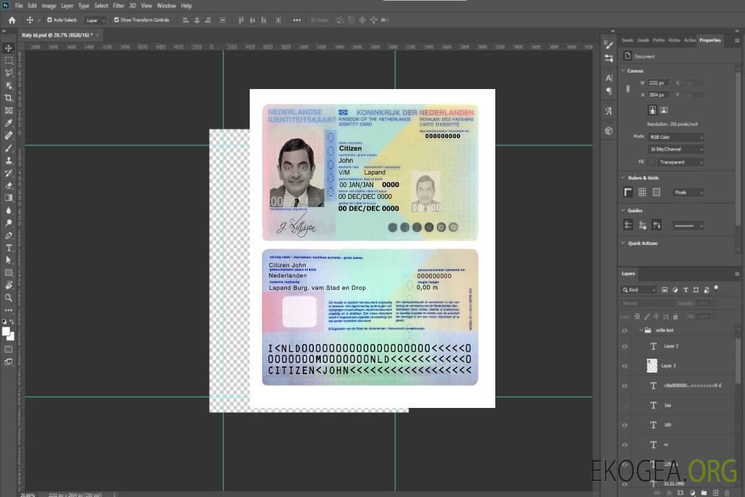 Carte d'identité des Pays-Bas template Carte d'identité des Pays-Bas template